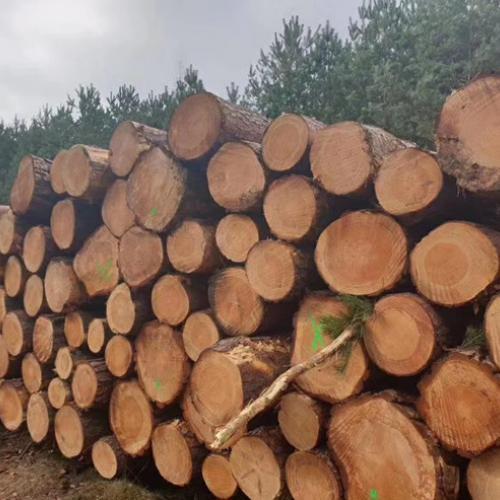 木方条批发有哪些向良木业低成本高效率_惠州市惠城区向良木制品厂